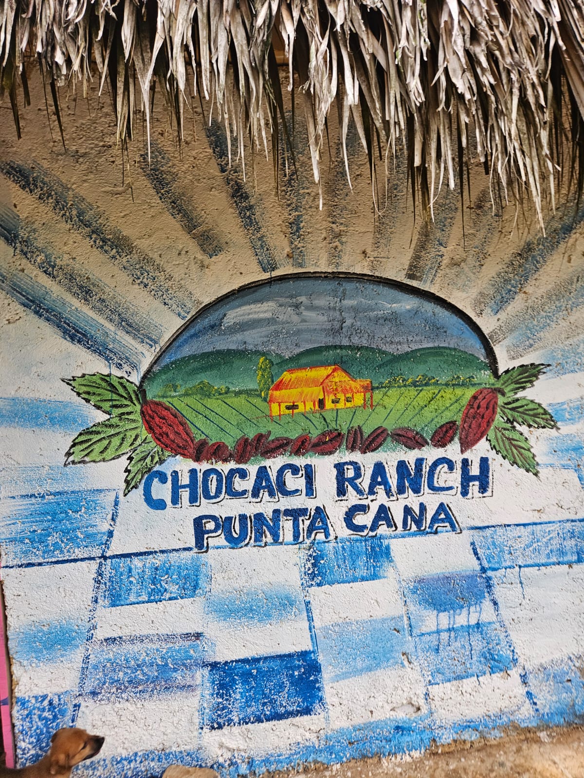 Chocaci tour 